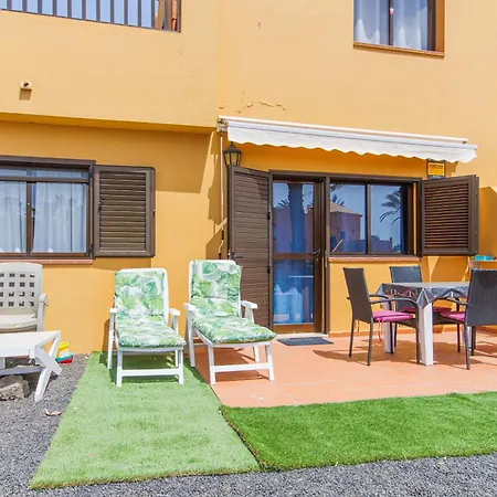 Oasi Blue Papagayo *