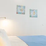 Oasi Blue Papagayo *