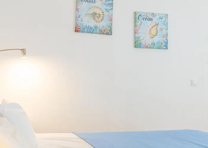 Oasi Blue Papagayo *